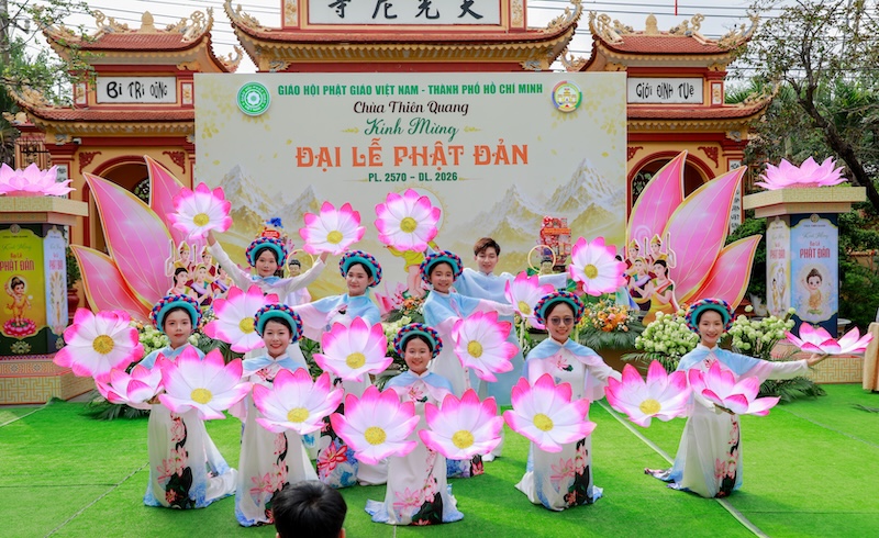 17.jpg 17.jpg